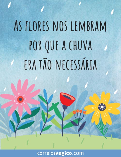 As flores nos lembram por que a chuva era to necessria