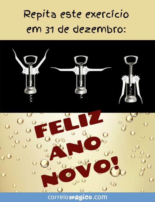 Repita este exerccio em 31 de dezembro.
FELIZ ANO NOVO!