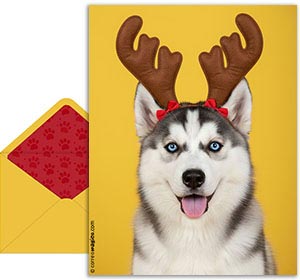 Cartão 3D de natal grátis. Um carto como nenhum outro