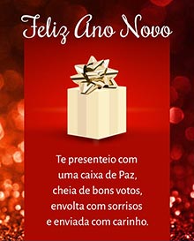 Te presenteio com uma caixa de Paz, cheia de bons votos, envolta com sorrisos e enviada com carinho. 
Feliz Ano Novo