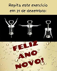 Repita este exerccio em 31 de dezembro.
FELIZ ANO NOVO!