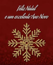 Feliz Natal e um excelente Ano Novo