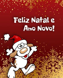 Feliz Natal e Ano Novo!