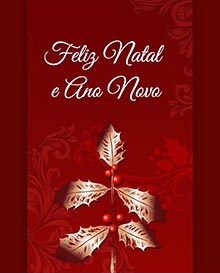 Feliz Natal e Ano Novo