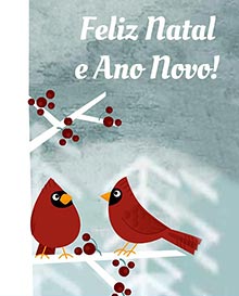 Feliz Natal e Ano Novo!